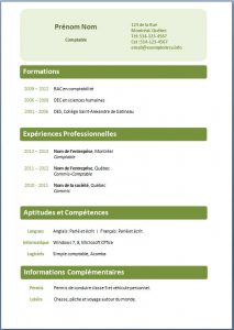 CV : structure classiquement conseillée