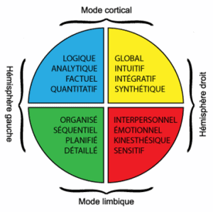 équipe à cerveau global