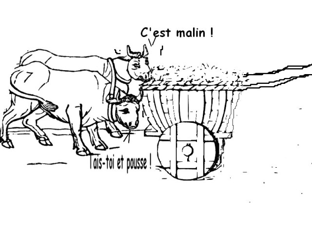 Des KPI, mais à la condition qu'ils servent un projet qui a du sens.