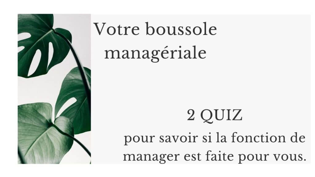 La boussole managériale - Monique Pierson