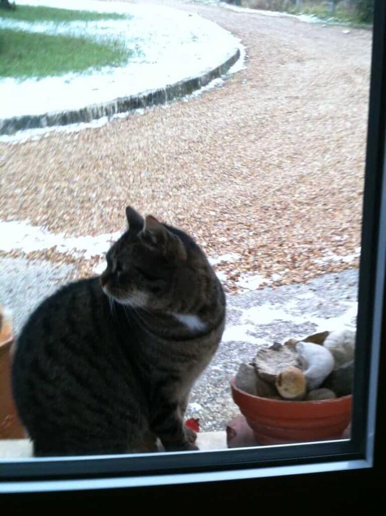 chat - Monique Pierson