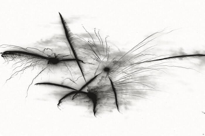 Photopeinture Lionel Fantini - Monique Pierson